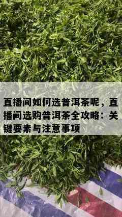 直播间如何选普洱茶呢，直播间选购普洱茶全攻略：关键要素与注意事项