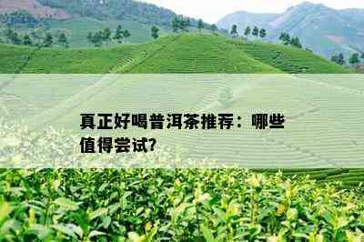 真正好喝普洱茶推荐：哪些值得尝试？