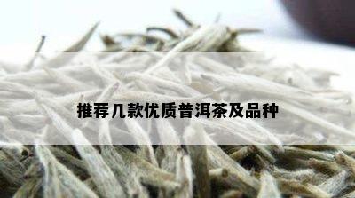 推荐几款优质普洱茶及品种