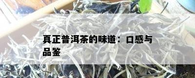 真正普洱茶的味道：口感与品鉴