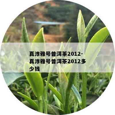 真淳雅号普洱茶2012-真淳雅号普洱茶2012多少钱