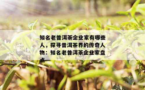 知名老普洱茶企业家有哪些人，探寻普洱茶界的传奇人物：知名老普洱茶企业家盘点