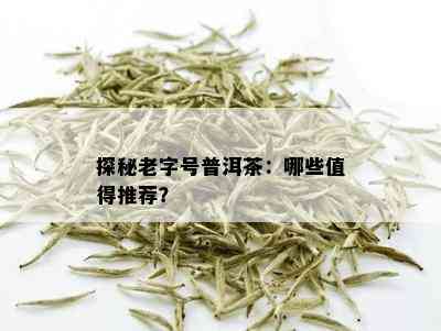 探秘老字号普洱茶：哪些值得推荐？