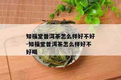 知福堂普洱茶怎么样好不好-知福堂普洱茶怎么样好不好喝