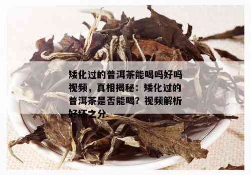 矮化过的普洱茶能喝吗好吗视频，真相揭秘：矮化过的普洱茶是否能喝？视频解析好坏之分