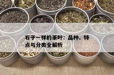 石子一样的茶叶：品种、特点与分类全解析