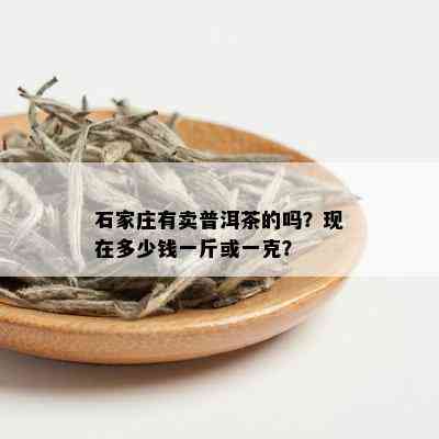 石家庄有卖普洱茶的吗？现在多少钱一斤或一克？