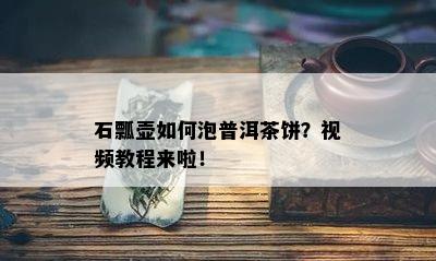 石瓢壶如何泡普洱茶饼？视频教程来啦！