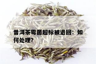 普洱茶霉菌超标被退回：如何处理？