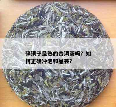 碎银子是熟的普洱茶吗？如何正确冲泡和品尝？