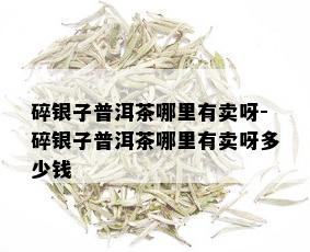 碎银子普洱茶哪里有卖呀-碎银子普洱茶哪里有卖呀多少钱