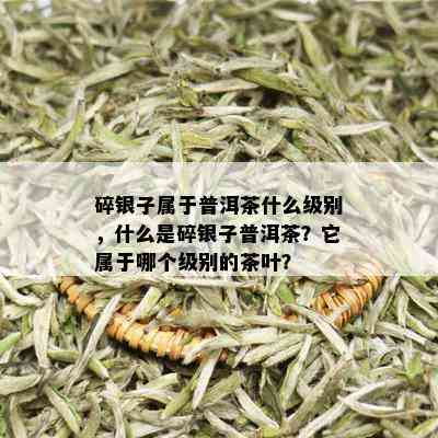 碎银子属于普洱茶什么级别，什么是碎银子普洱茶？它属于哪个级别的茶叶？