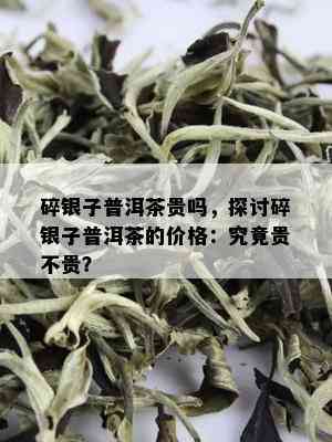 碎银子普洱茶贵吗，探讨碎银子普洱茶的价格：究竟贵不贵？