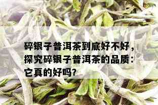 碎银子普洱茶到底好不好，探究碎银子普洱茶的品质：它真的好吗？