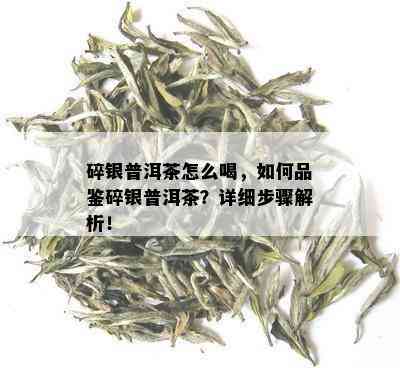 碎银普洱茶怎么喝，如何品鉴碎银普洱茶？详细步骤解析！