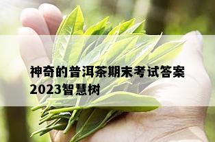 神奇的普洱茶期末考试答案2023智慧树