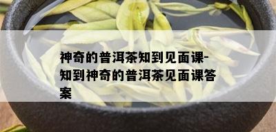 神奇的普洱茶知到见面课-知到神奇的普洱茶见面课答案