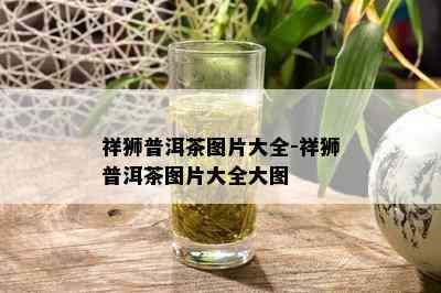 祥狮普洱茶图片大全-祥狮普洱茶图片大全大图