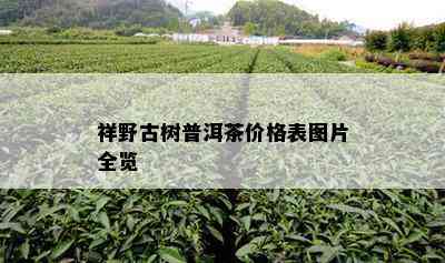 祥野古树普洱茶价格表图片全览