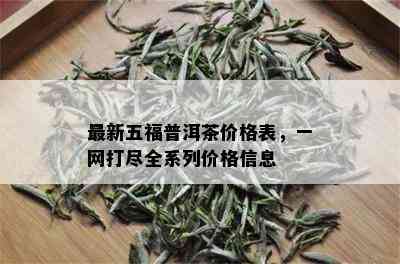 最新五福普洱茶价格表，一网打尽全系列价格信息