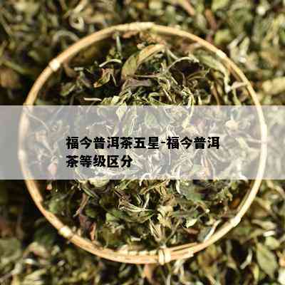 福今普洱茶五星-福今普洱茶等级区分