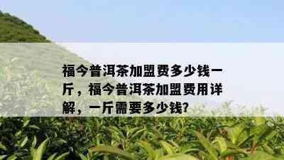 福今普洱茶加盟费多少钱一斤，福今普洱茶加盟费用详解，一斤需要多少钱？