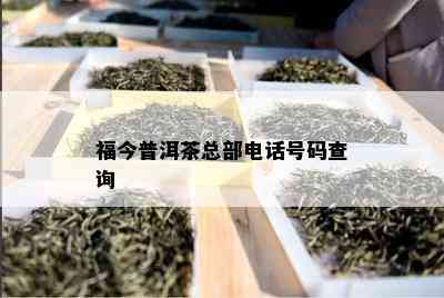 福今普洱茶总部电话号码查询