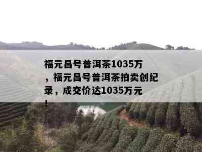 福元昌号普洱茶1035万，福元昌号普洱茶拍卖创纪录，成交价达1035万元！