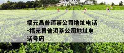 福元昌普洱茶公司地址电话-福元昌普洱茶公司地址电话号码