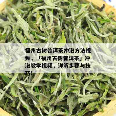 福州古树普洱茶冲泡方法视频，「福州古树普洱茶」冲泡教学视频，详解步骤与技巧！