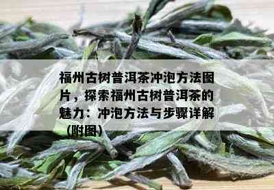 福州古树普洱茶冲泡方法图片，探索福州古树普洱茶的魅力：冲泡方法与步骤详解（附图）