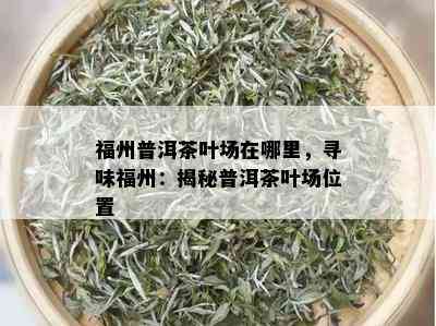 福州普洱茶叶场在哪里，寻味福州：揭秘普洱茶叶场位置