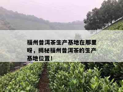 福州普洱茶生产基地在那里呀，揭秘福州普洱茶的生产基地位置！