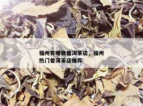 福州有哪些普洱茶店，福州热门普洱茶店推荐