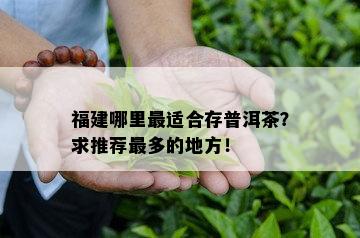 福建哪里最适合存普洱茶？求推荐最多的地方！