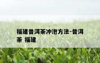 福建普洱茶冲泡方法-普洱茶 福建