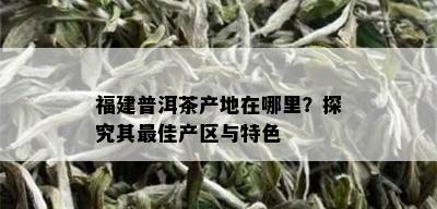 福建普洱茶产地在哪里？探究其更佳产区与特色