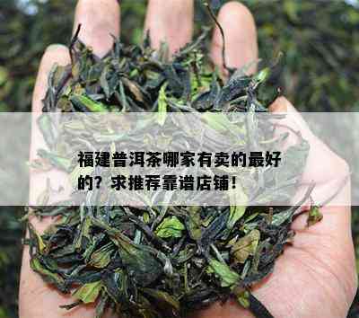 福建普洱茶哪家有卖的更好的？求推荐靠谱店铺！