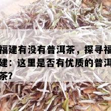 福建有没有普洱茶，探寻福建：这里是否有优质的普洱茶？