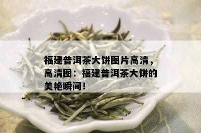 福建普洱茶大饼图片高清，高清图：福建普洱茶大饼的美艳瞬间！