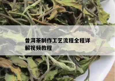 普洱茶制作工艺流程全程详解视频教程