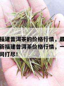 福建普洱茶的价格行情，最新福建普洱茶价格行情，一网打尽！