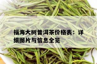 福海大树普洱茶价格表：详细图片与信息全览