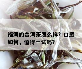 福海的普洱茶怎么样？口感如何，值得一试吗？