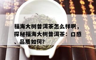 福海大树普洱茶怎么样啊，探秘福海大树普洱茶：口感、品质如何？