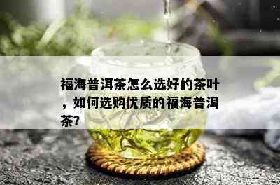 福海普洱茶怎么选好的茶叶，如何选购优质的福海普洱茶？