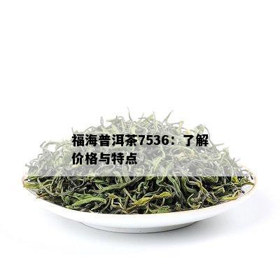 福海普洱茶7536：了解价格与特点