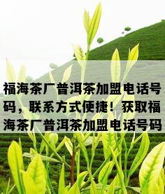 福海茶厂普洱茶加盟电话号码，联系方式便捷！获取福海茶厂普洱茶加盟电话号码