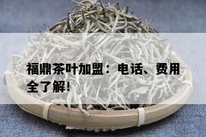 福鼎茶叶加盟：电话、费用全了解！