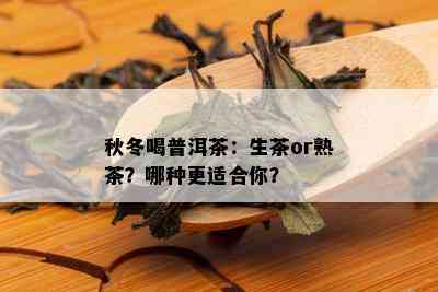 秋冬喝普洱茶：生茶or熟茶？哪种更适合你？